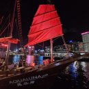 루나트립 이미지