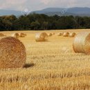 (주)쌍용에프엔씨 이미지