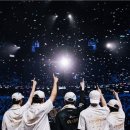 동촌유치원 | W4. 웨딩홀 투어 시작! 2편(라 테라스 웨딩, 노비아갈라 동촌, M스타하우스웨딩)