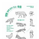 피어나는 생명 이미지