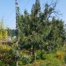 오가면010 이미지