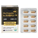 와이즈바이오 이미지