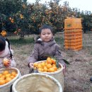 현규농장 이미지