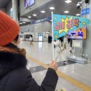 (공지취소)2026 새해 눈꽃 겨울바다 KTX왕복+ 정동진 +겨울 바다길 트레킹+자유여행 (2026,1,18)일요 이미지