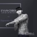 에반 휘트니스 이미지