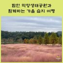 악양생태공원 방문자센터 1층 | 함안 악양생태공원과 함께하는 가을 습지 여행