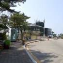 인간의 대지-나리꽃 | [07월 초순] 부산 태종대 사계 7월 태종사 수국