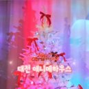 애니메하우스