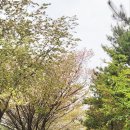 삼길포 정류장 네이버블로그