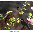 아름다운연출