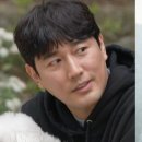 다음펫 이미지