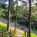 서리풀공원1-20 이미지