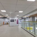 일산 킨텍스 수변공원, 캠핑장, 호수공원 걷기 이미지