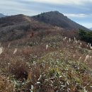 [구례] 지리산(노고단-피아골) 이미지