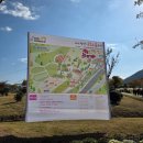 황산체육공원 | 부산 근교 아이랑 가볼만한곳 양산국화축제 2025 황산공원 나들이 후기