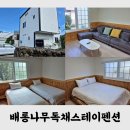 배롱나무 독채스테이 이미지