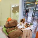 칠암동 미르치과 앞 이미지