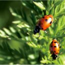 미연농장 이미지