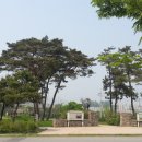 연천학곡리고인돌 | [주말여행, 문화유적지 답사] 오산 외삼미동 고인돌 유적 공원 / 경기도 오산 가볼만한 곳