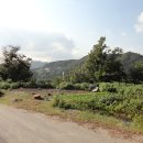 양평전원공인중개사사무소 이미지