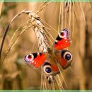 해소한의원 이미지