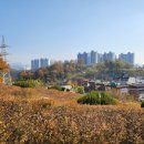 구미 행정사 이미지
