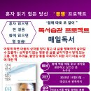 2023년 마지막 매일독서는 '상처 받지 않는 영혼 이미지