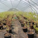 한우리마을농장 이미지