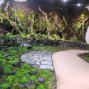 거제식물원 이미지