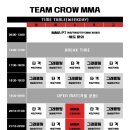 팀크로우 MMA 이미지