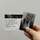 내개로와 | 뮤지컬 팬텀 10주년 - 2층 G열 37번대 A석 박효신 회차