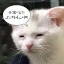 검배로84번길 이미지