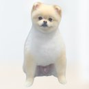 몽말순 | 전포동애견미용 몽말순 가위컷으로 귀여운 곰돌이로 변신!!