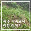 보건장례점 | 파주 묘지이장 절차, 복잡한 개장신고부터 화장까지 장례지도사 동행 후기