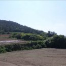 고금면-1 이미지