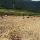 백암온천마을 이미지