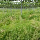 기승농장 이미지