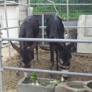 한울무역 이미지