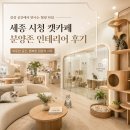 캣라운지 | 세종 시청 캣카페분양존 인테리어 후기