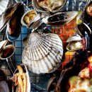 조개랑 대개랑 이미지