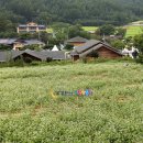 강변메밀칼국수 이미지