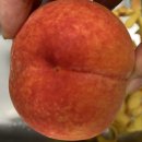 동우농장 이미지