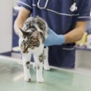 우리앤동물병원 이미지