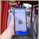 9.9춘천닭갈비 | 가평 근처 가볼만한곳 남이섬 입장권 남이섬 하늘자전거 놀거리