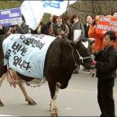 워낭소리 이미지