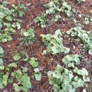 천시원교육농장 이미지