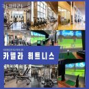 퇴계동헬스장 춘천헬스 PT 피티 카펠라 휘트니스 가격 위치 소개
