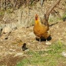 믿는카센타 이미지