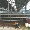 고산태양광발전소 이미지