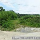 영천부동산1번지공인중개사사무소 이미지